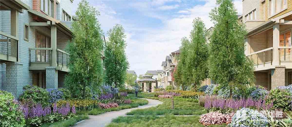 旧金山硅谷全新联排别墅—the Vale