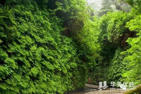 加州这10个好玩的地方你肯定不知道 加州这10个好玩的地方你肯定不知道