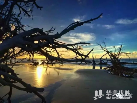 盘点美国最美的23个沙滩,你去过几个呢? 盘点美国最美的23个沙滩,你去过几个呢?