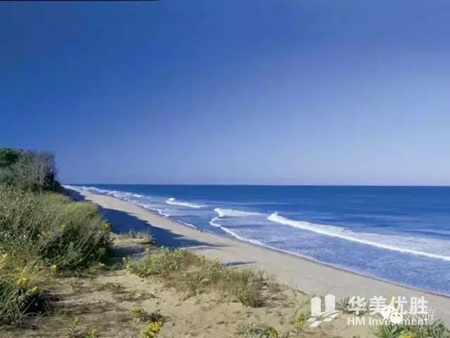盘点美国最美的23个沙滩,你去过几个呢? 盘点美国最美的23个沙滩,你去过几个呢?