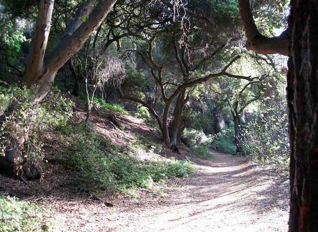 洛杉矶·钻石吧豪华独栋别墅—South Pointe