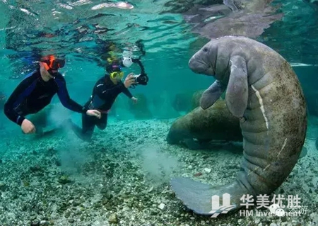 美国最适合浮潜的八个地方 你一定要去