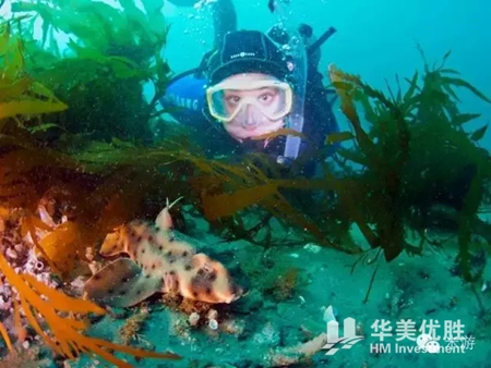 美国最适合浮潜的八个地方 你一定要去