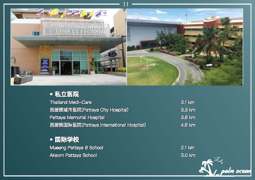 棕榈海岸Palm Ocean-217万泰铢起