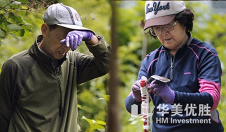 中国留学生家长在耶鲁大学种菜 获美国网友点赞